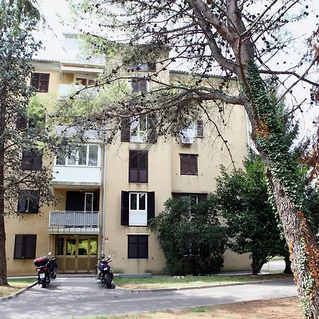 Jasmine's Flat Jb1